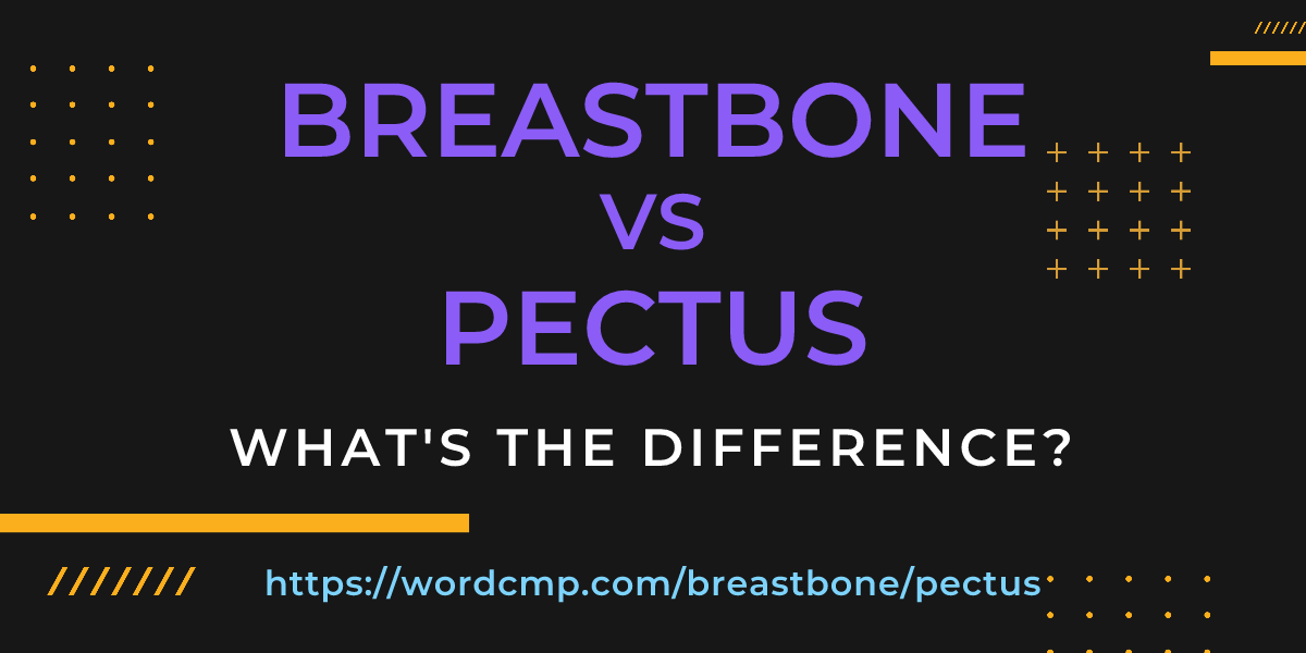 Difference between breastbone and pectus