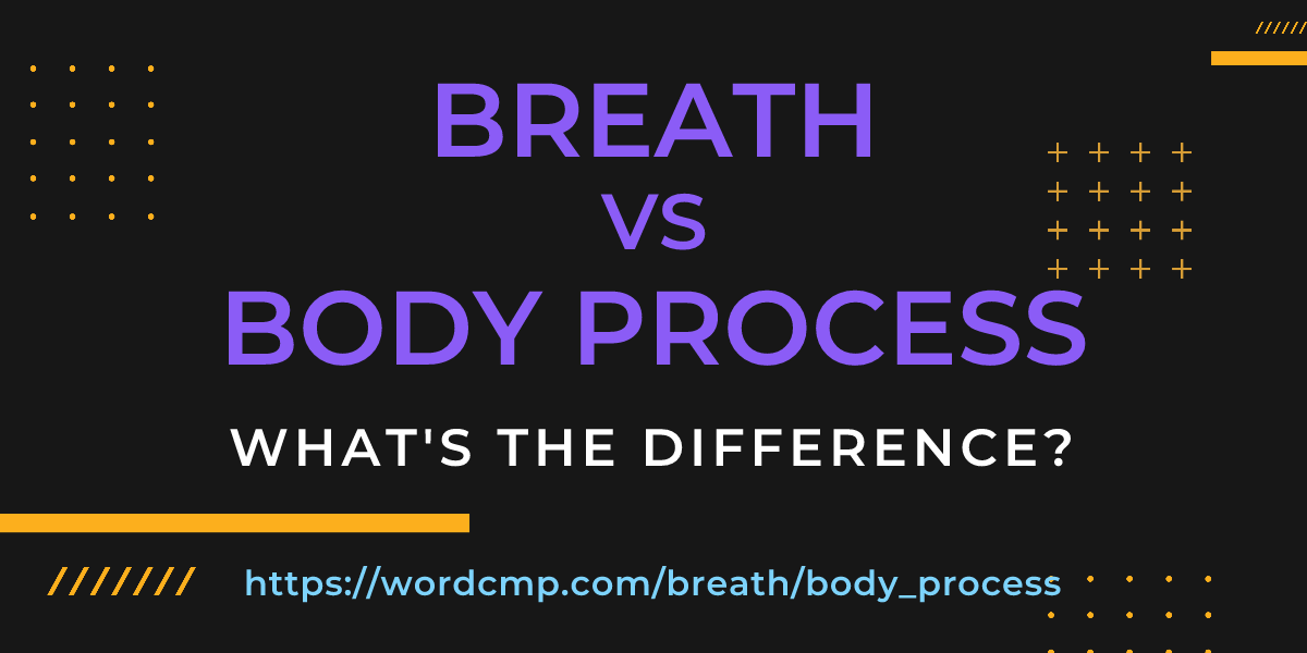 Difference between breath and body process