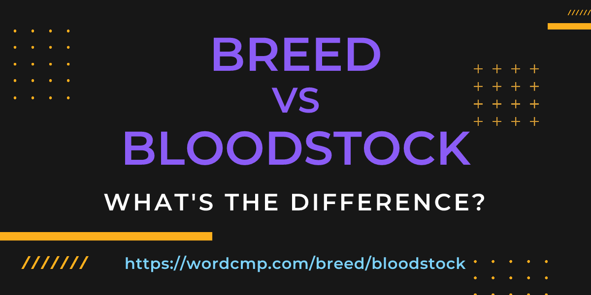 Difference between breed and bloodstock