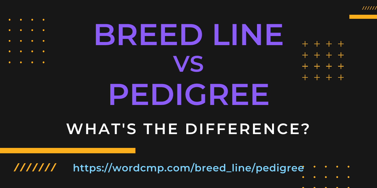 Difference between breed line and pedigree