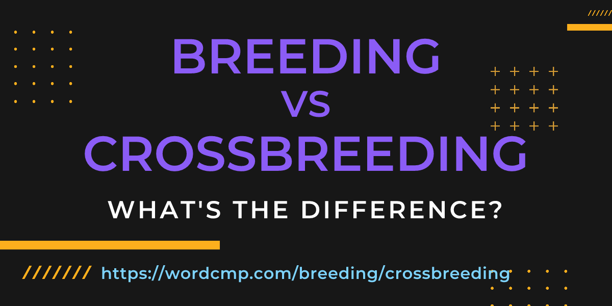 Difference between breeding and crossbreeding