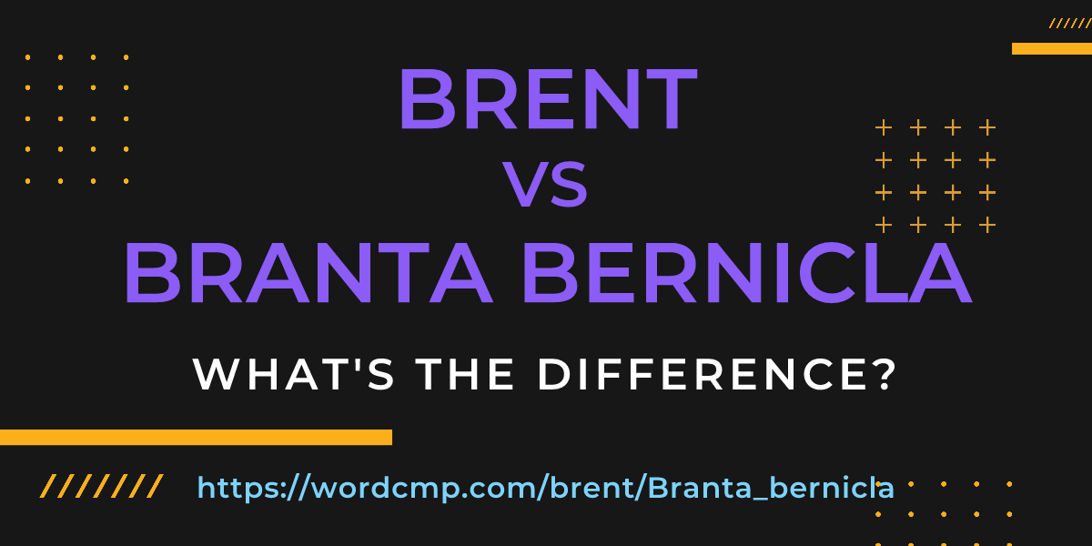 Difference between brent and Branta bernicla
