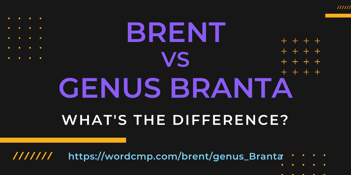 Difference between brent and genus Branta