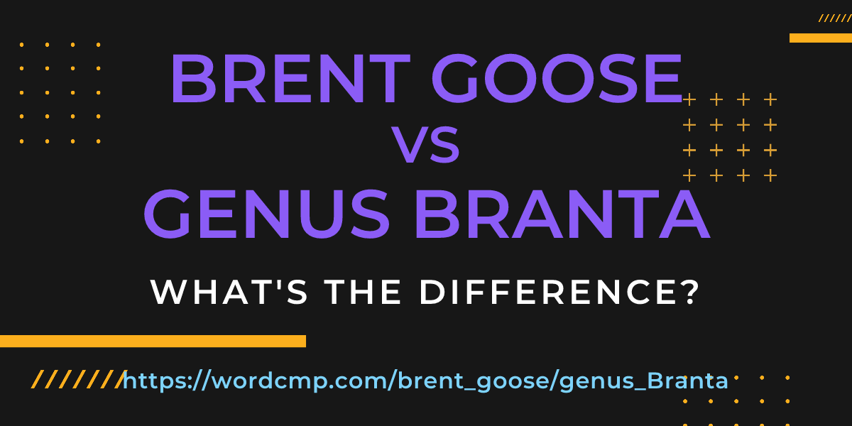 Difference between brent goose and genus Branta