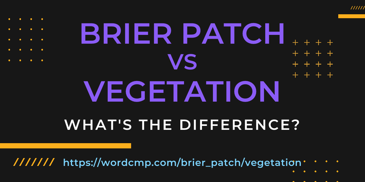 Difference between brier patch and vegetation