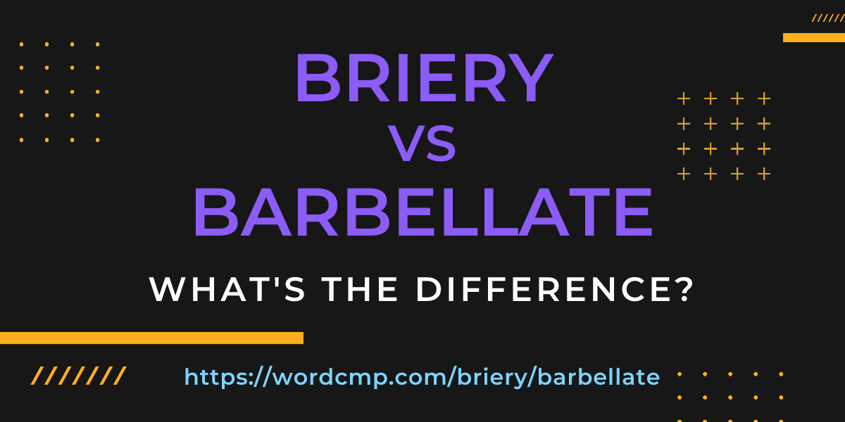 Difference between briery and barbellate