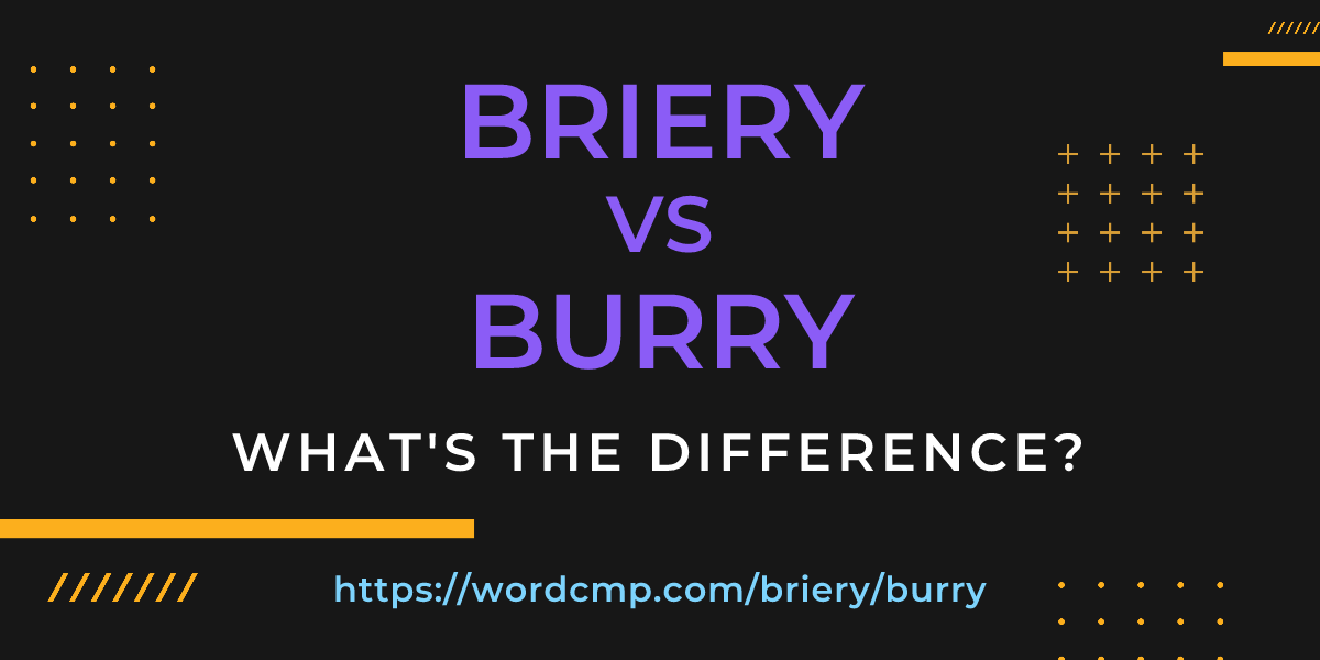 Difference between briery and burry