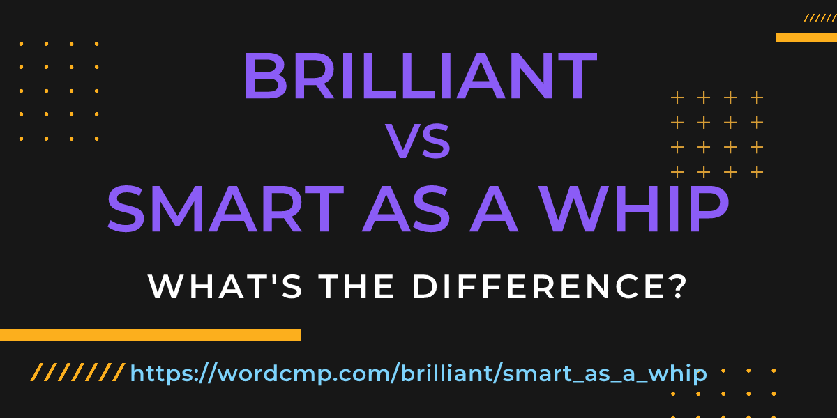 Difference between brilliant and smart as a whip