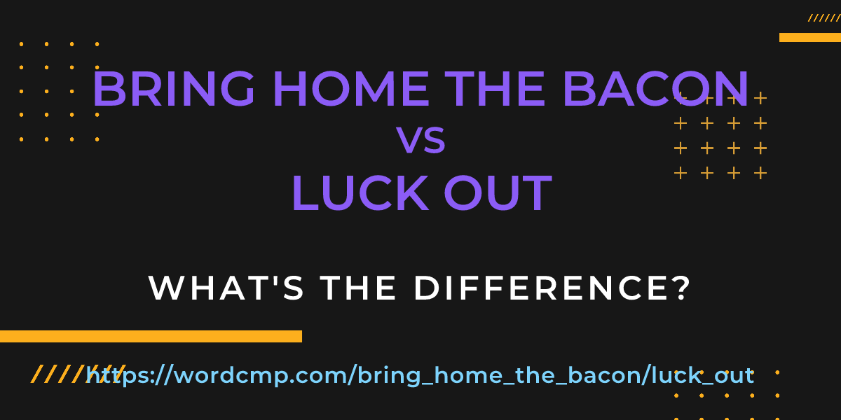 Difference between bring home the bacon and luck out