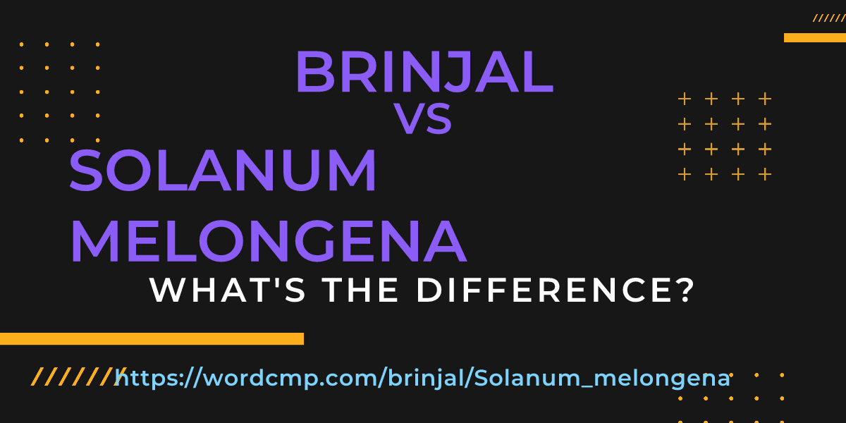 Difference between brinjal and Solanum melongena