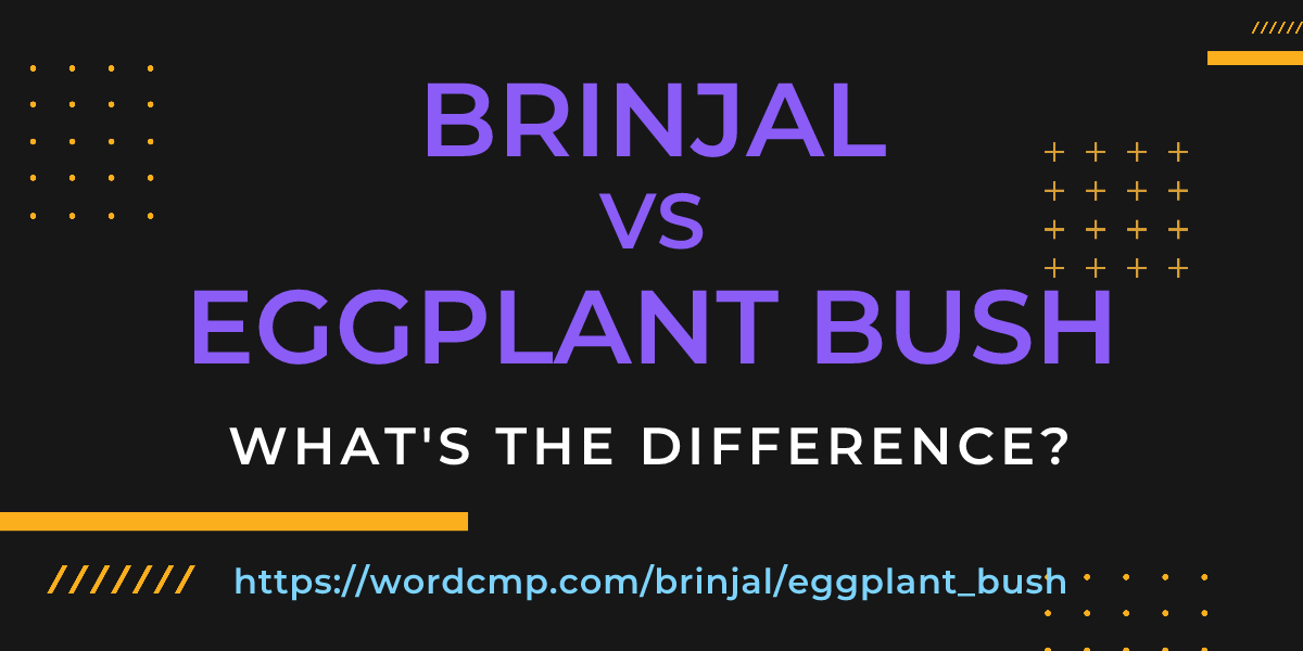 Difference between brinjal and eggplant bush