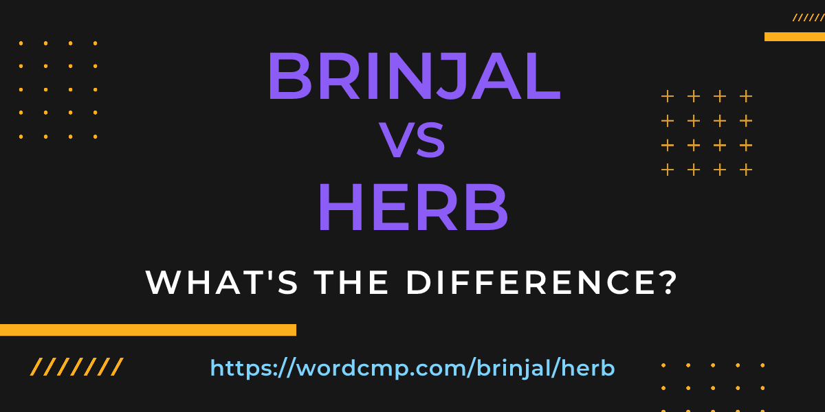 Difference between brinjal and herb