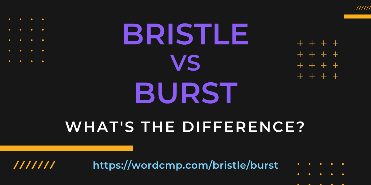 Difference between bristle and burst