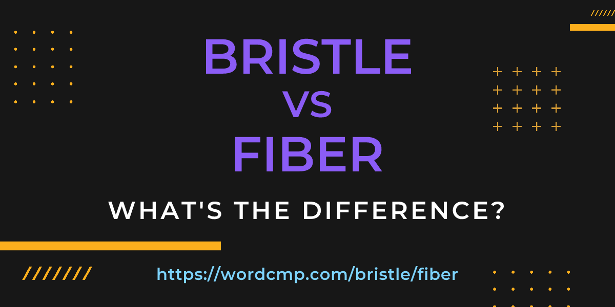 Difference between bristle and fiber