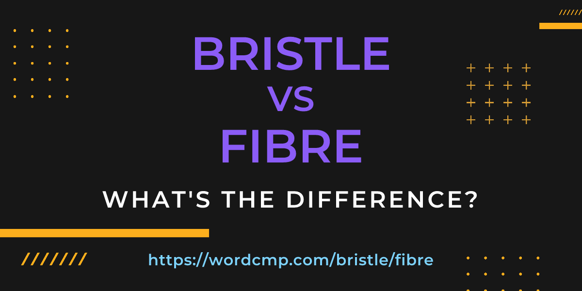 Difference between bristle and fibre