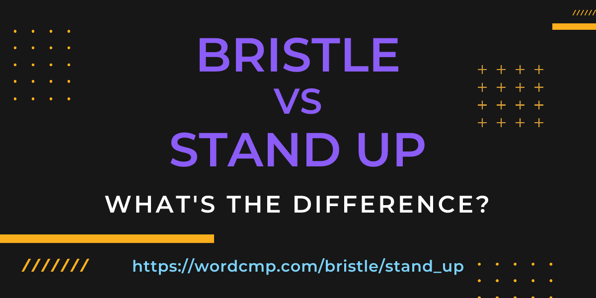 Difference between bristle and stand up