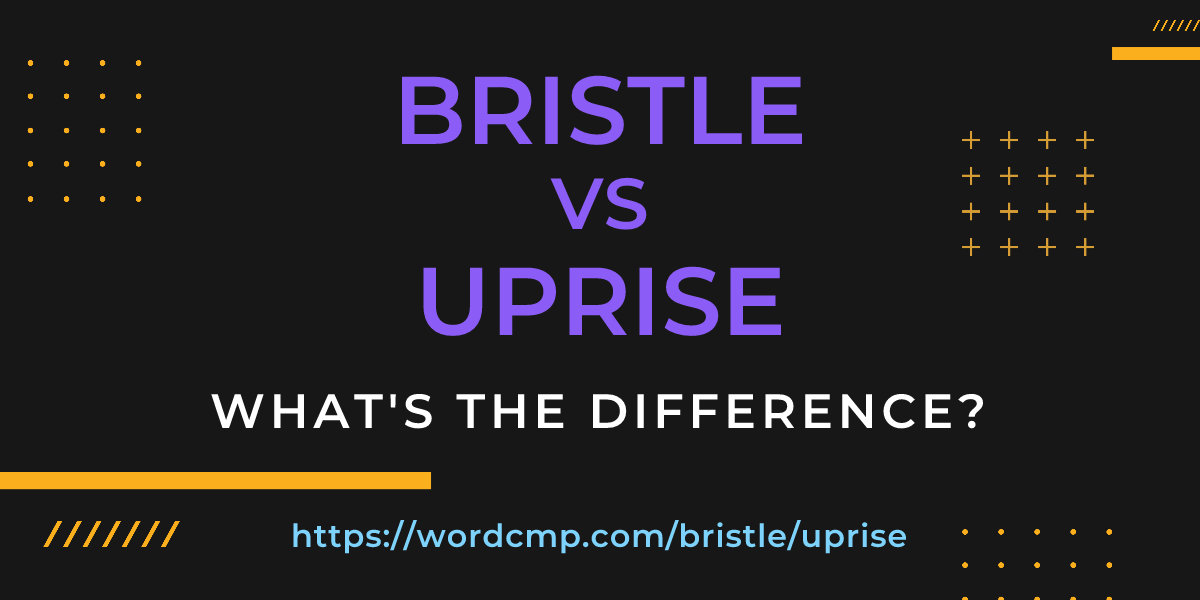 Difference between bristle and uprise