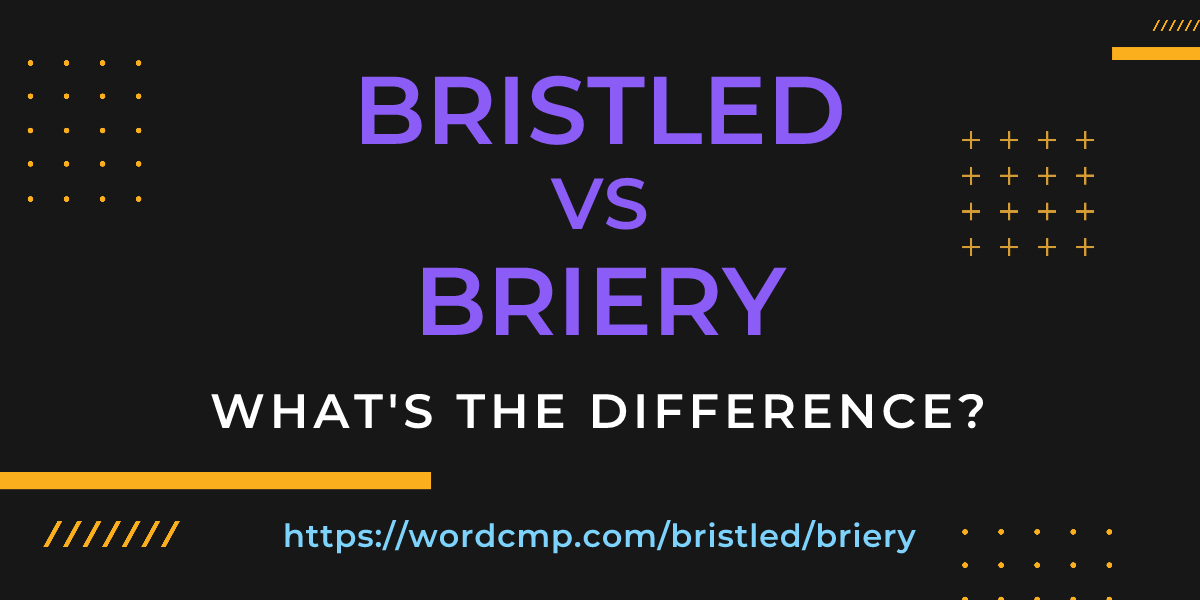 Difference between bristled and briery