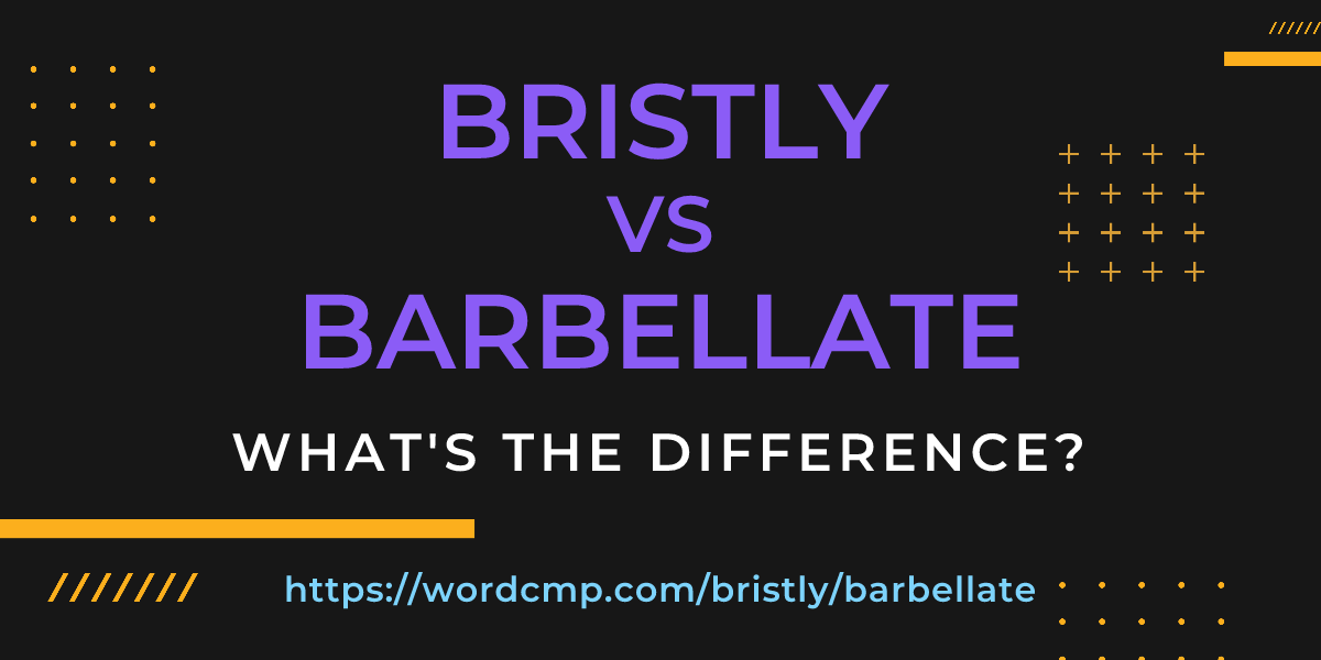 Difference between bristly and barbellate