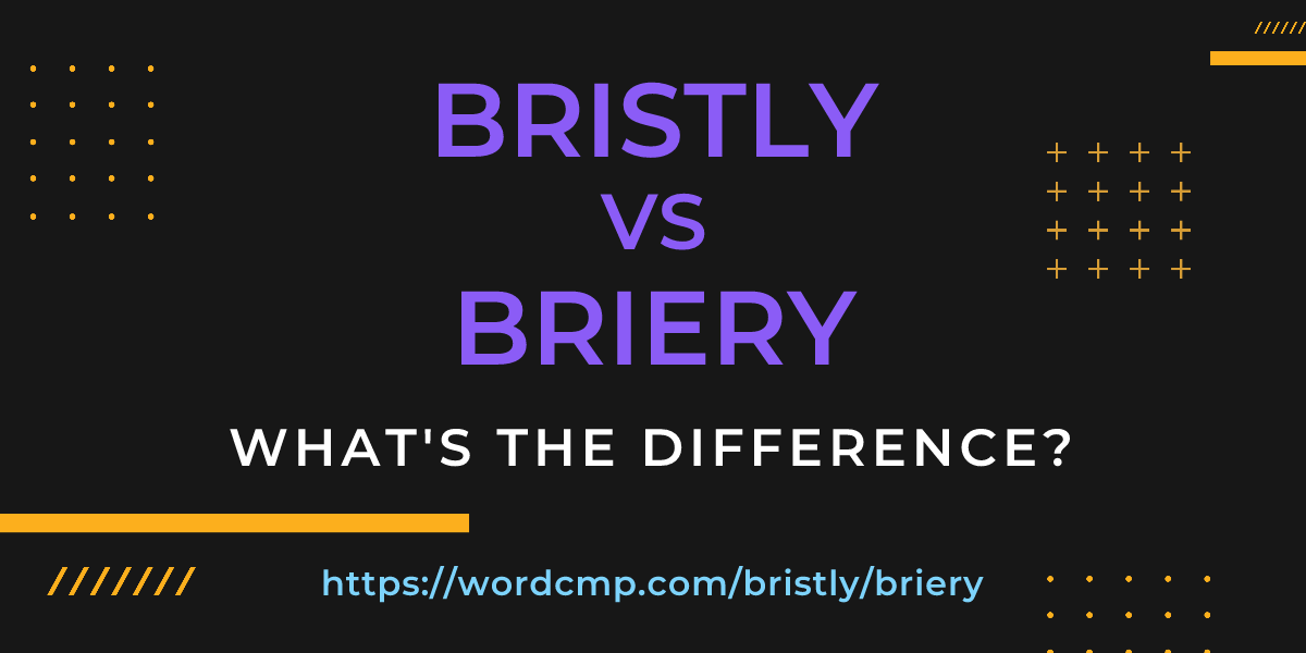 Difference between bristly and briery