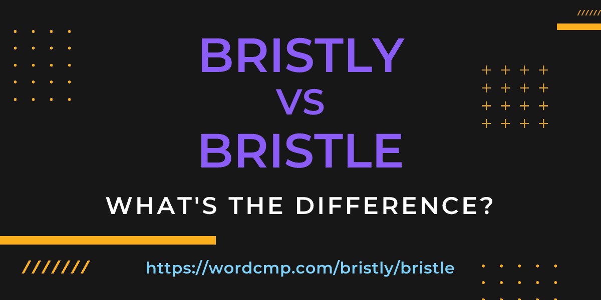 Difference between bristly and bristle