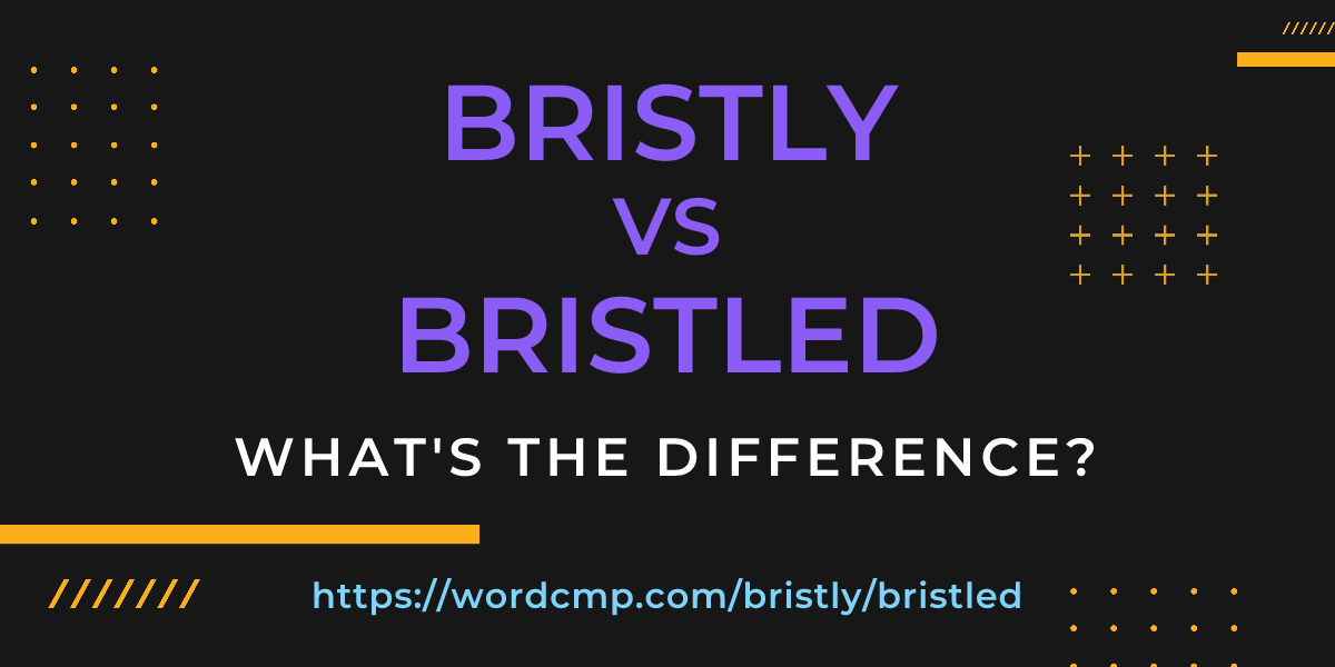 Difference between bristly and bristled