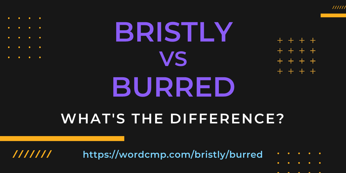 Difference between bristly and burred
