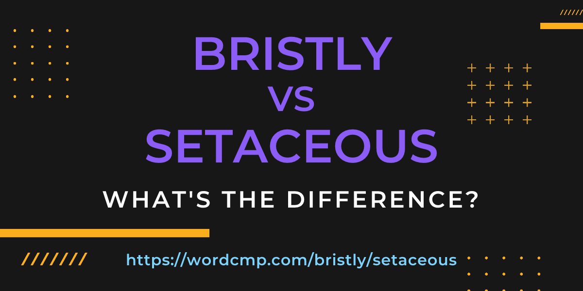 Difference between bristly and setaceous