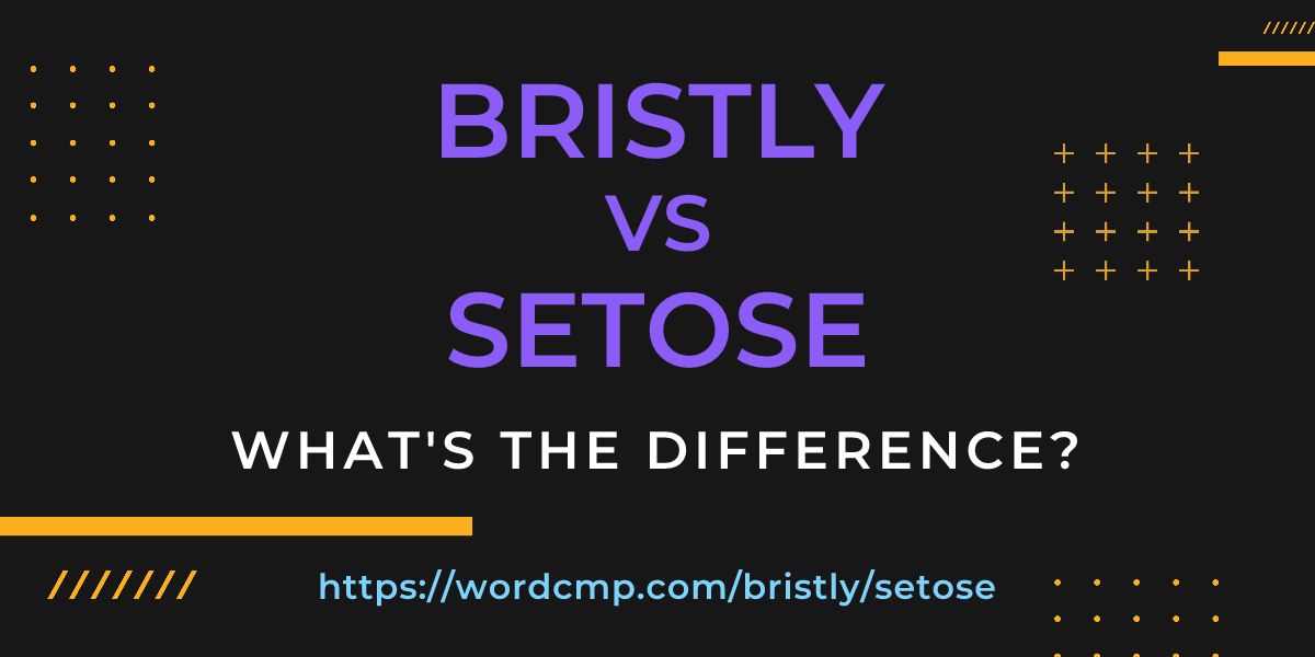 Difference between bristly and setose