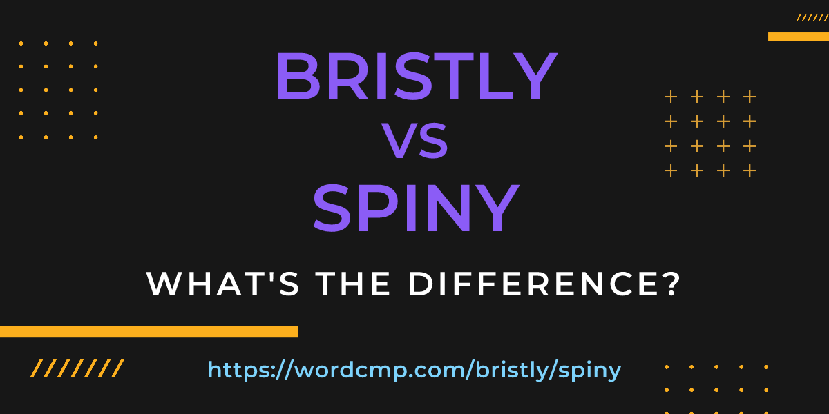Difference between bristly and spiny