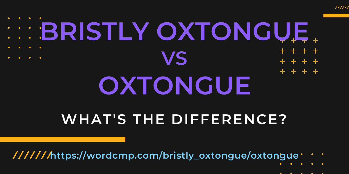 Difference between bristly oxtongue and oxtongue