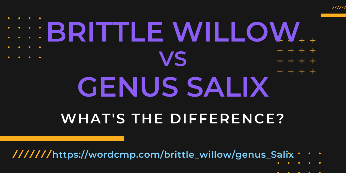 Difference between brittle willow and genus Salix
