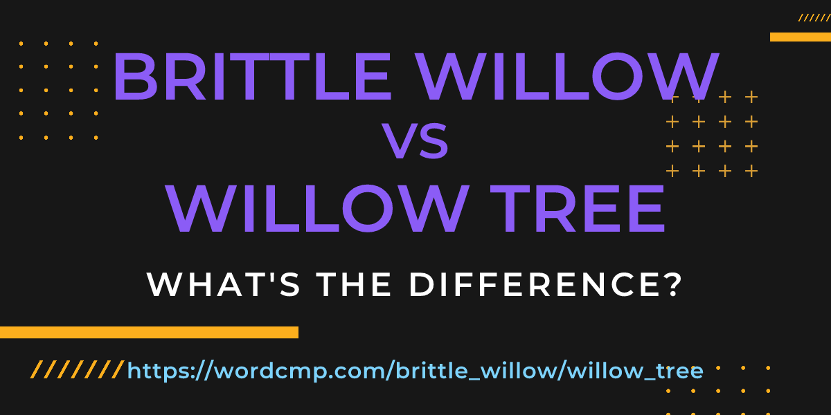 Difference between brittle willow and willow tree
