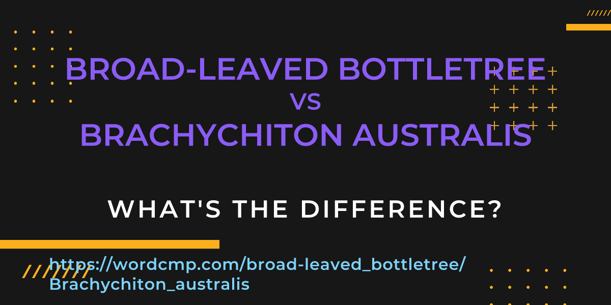 Difference between broad-leaved bottletree and Brachychiton australis