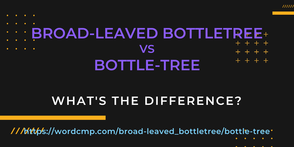 Difference between broad-leaved bottletree and bottle-tree