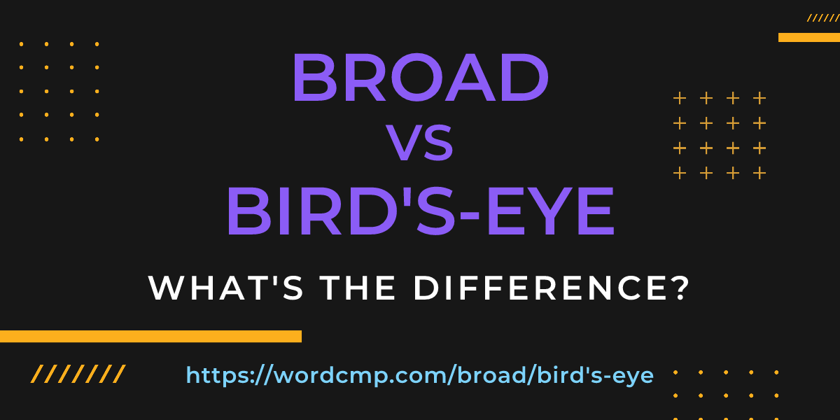 Difference between broad and bird's-eye