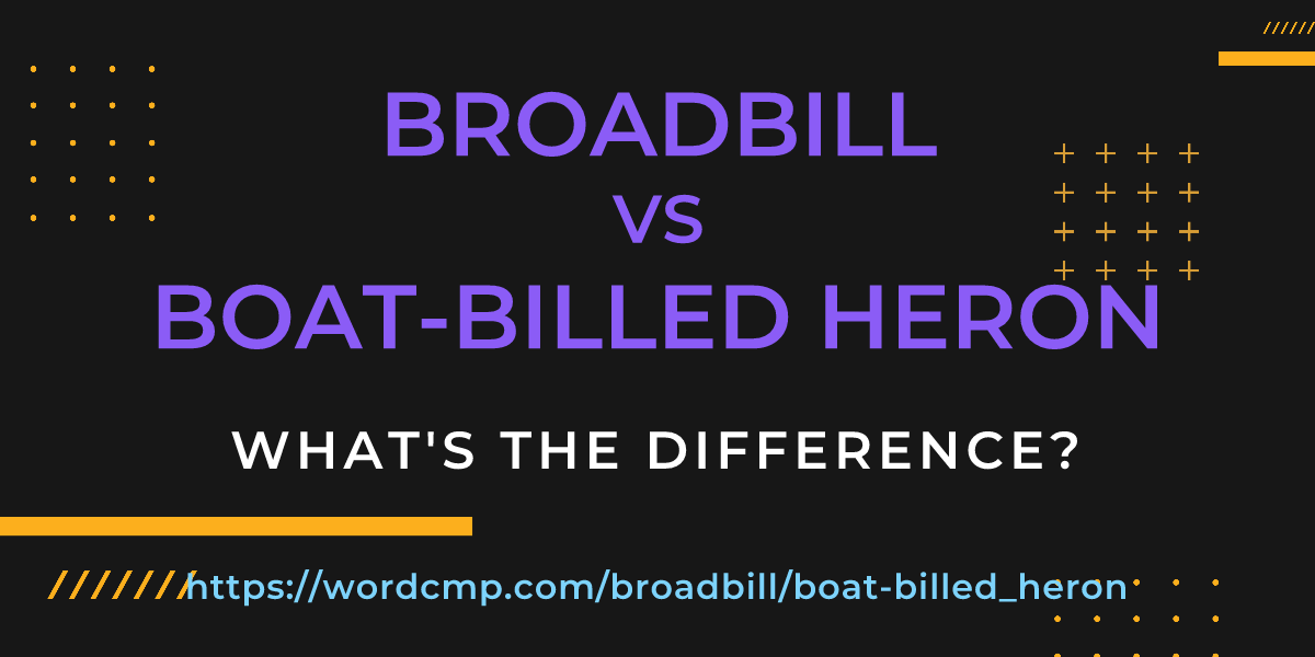 Difference between broadbill and boat-billed heron