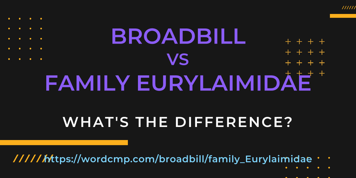Difference between broadbill and family Eurylaimidae