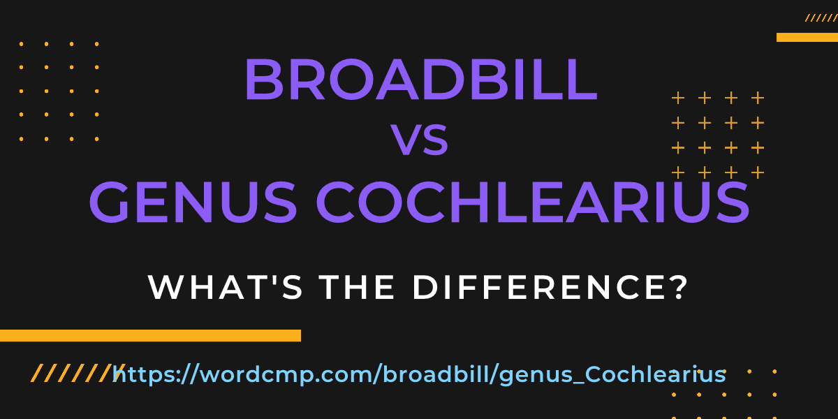 Difference between broadbill and genus Cochlearius