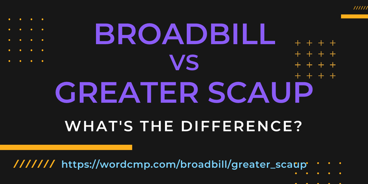 Difference between broadbill and greater scaup