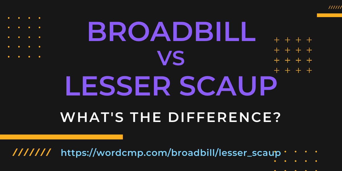 Difference between broadbill and lesser scaup