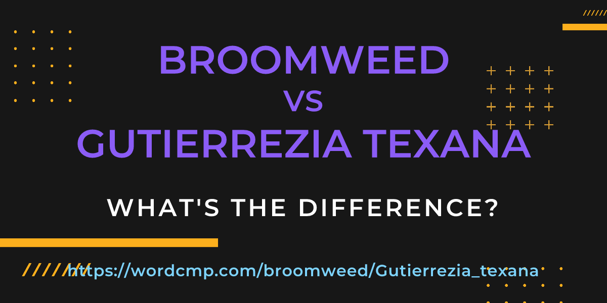 Difference between broomweed and Gutierrezia texana
