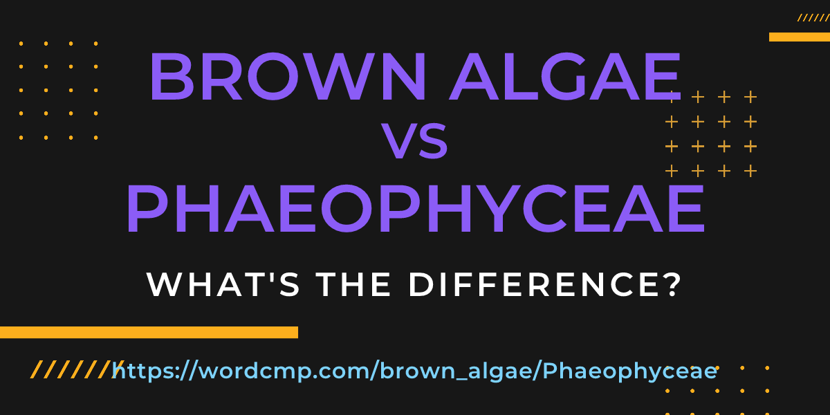 Difference between brown algae and Phaeophyceae