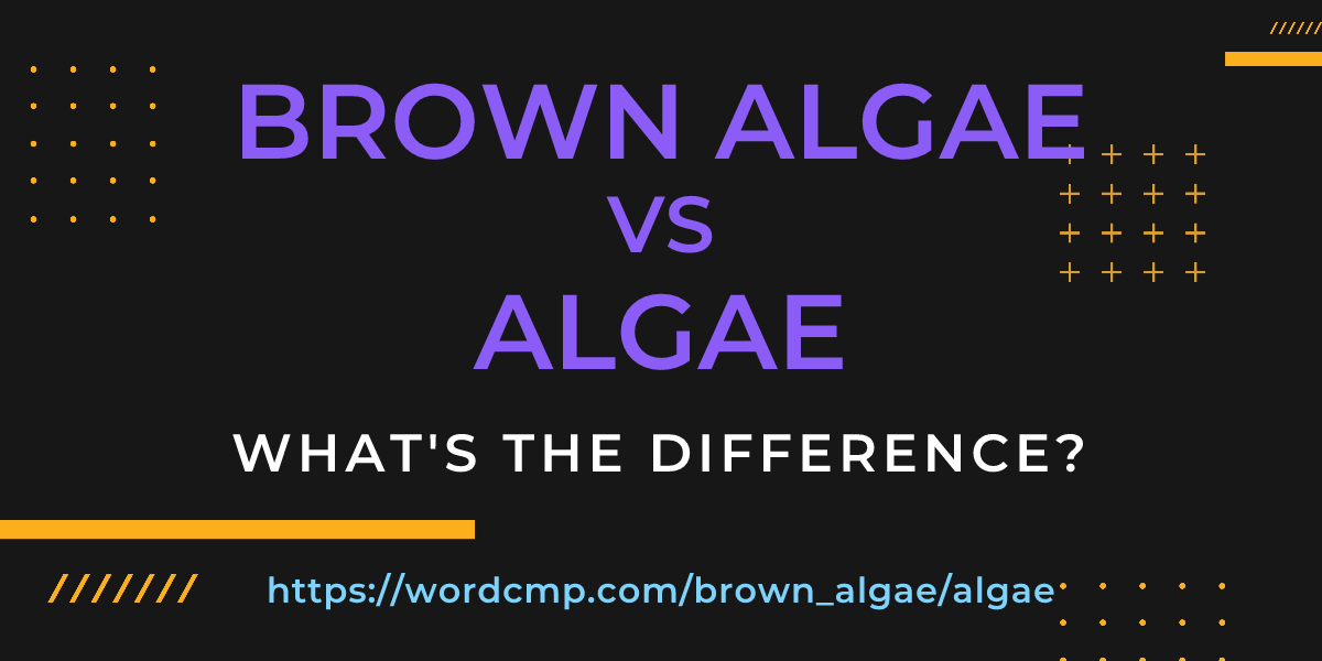 Difference between brown algae and algae