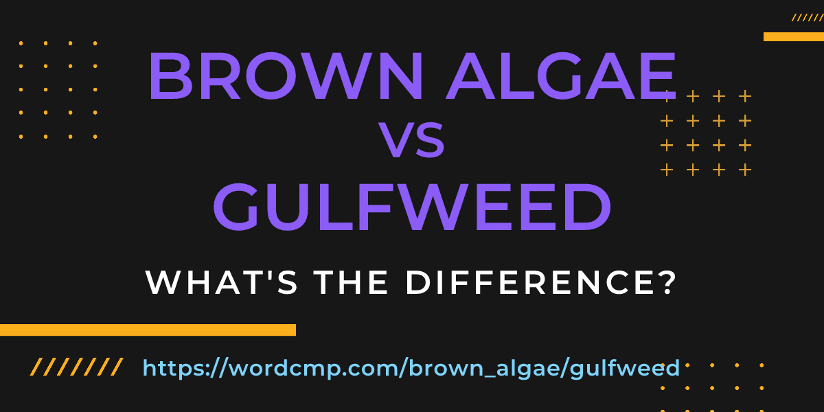 Difference between brown algae and gulfweed