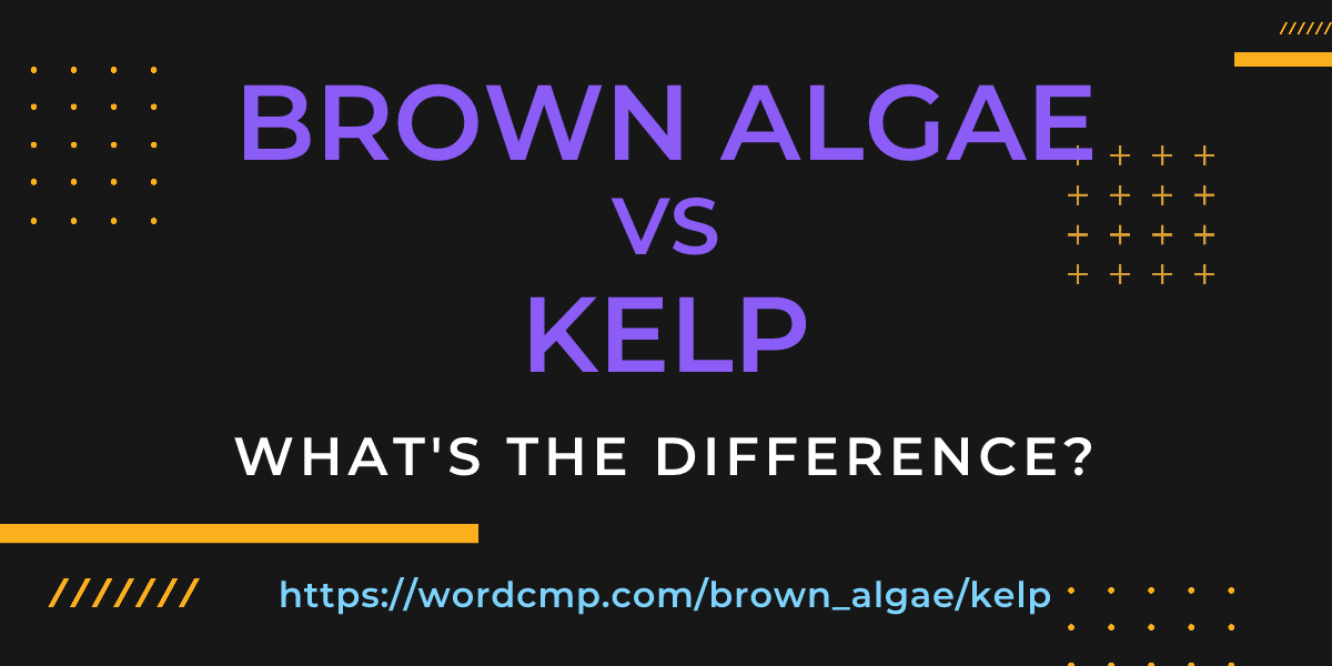 Difference between brown algae and kelp