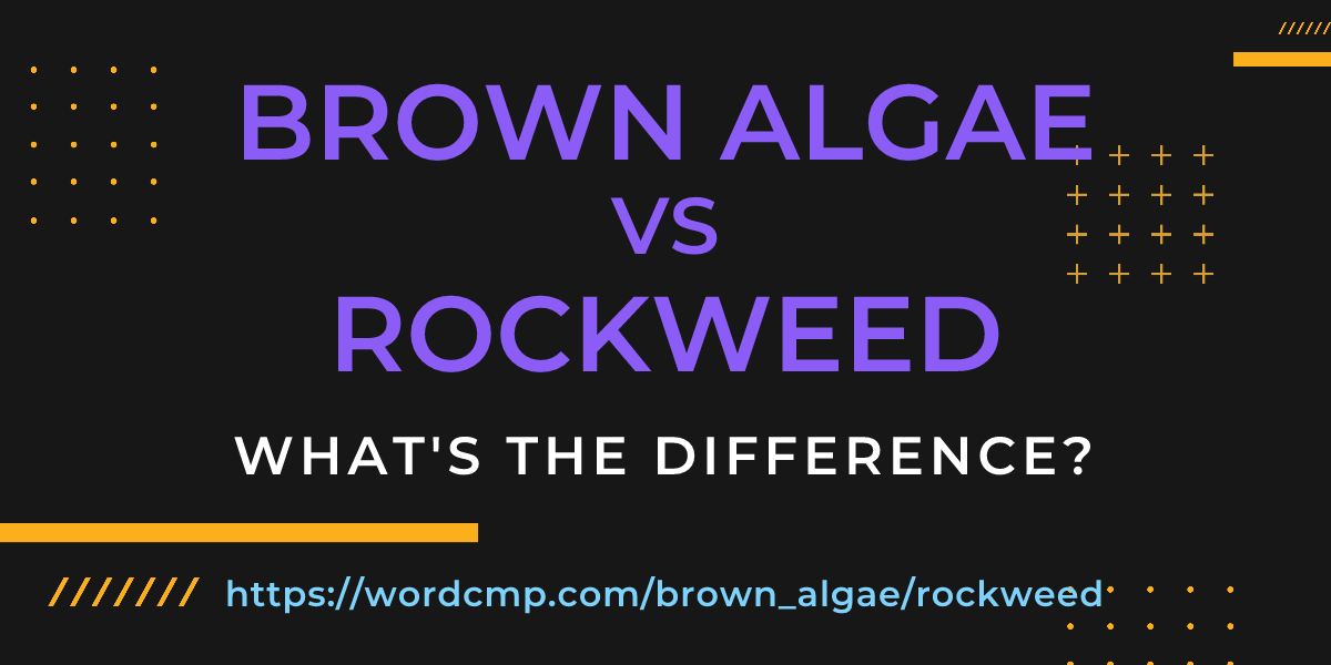 Difference between brown algae and rockweed