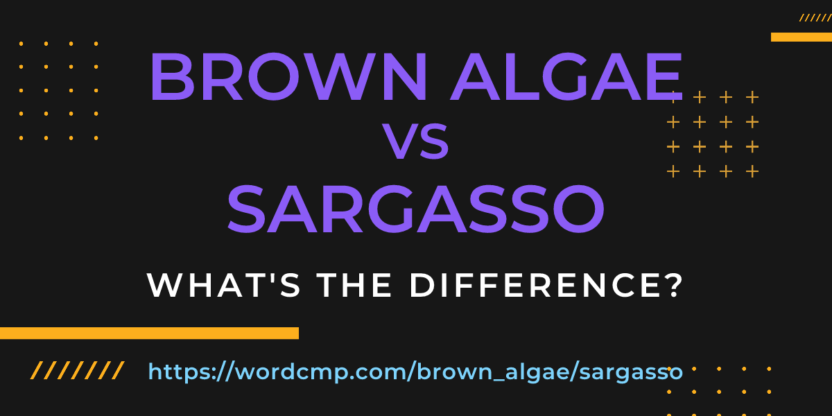 Difference between brown algae and sargasso