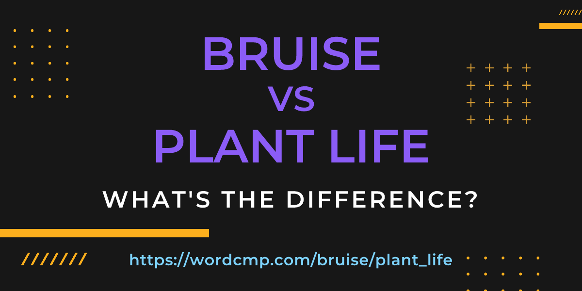 Difference between bruise and plant life