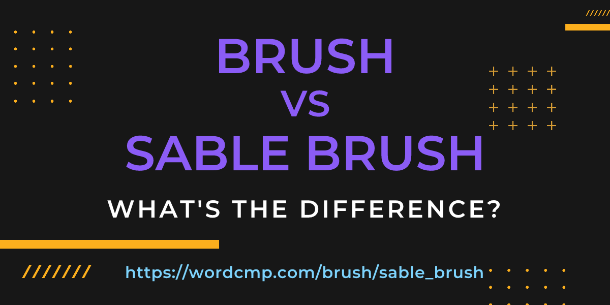 Difference between brush and sable brush